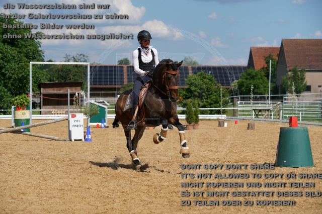 s_K3F06952.JPG